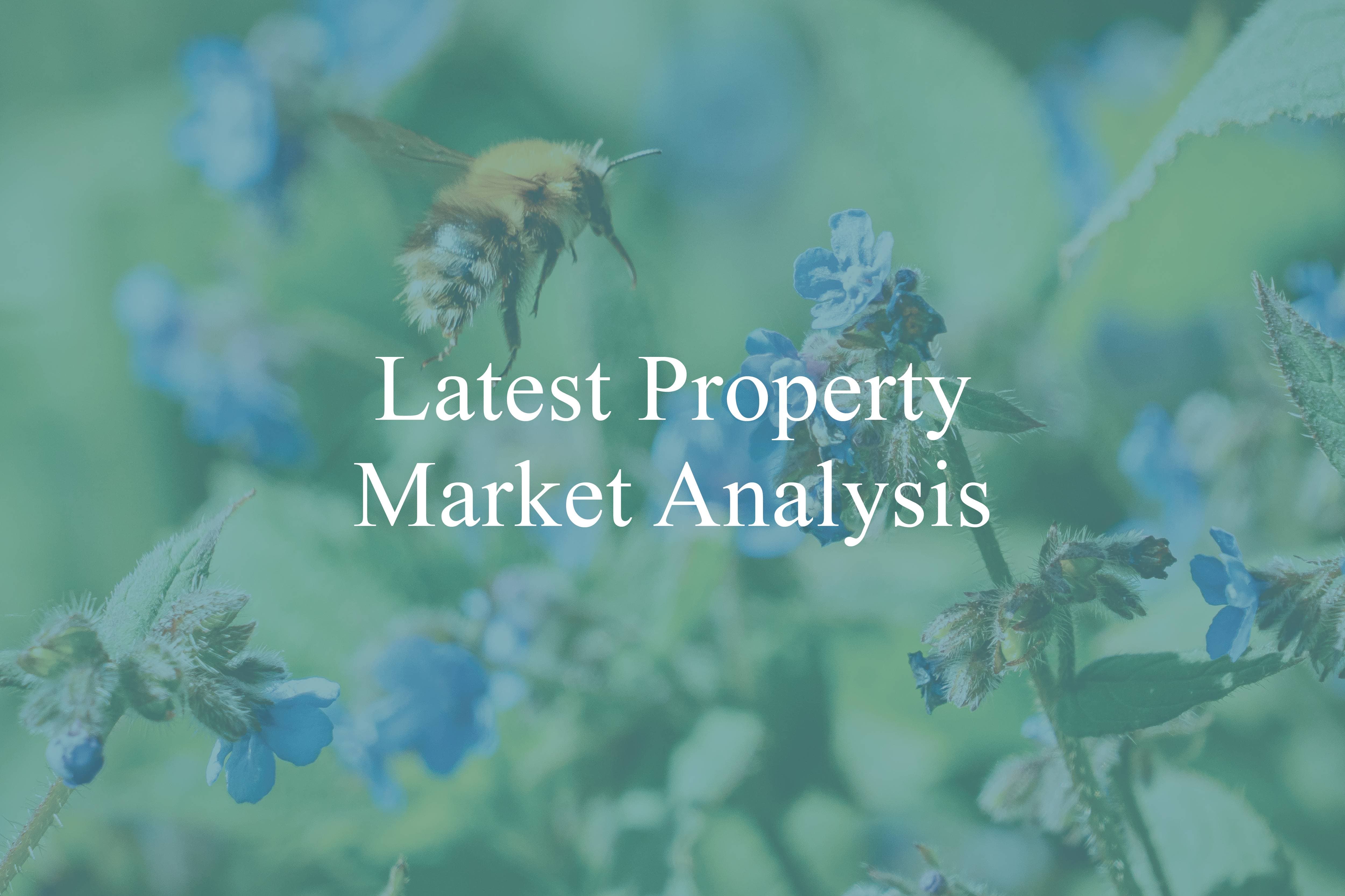 March Property Market Analysis