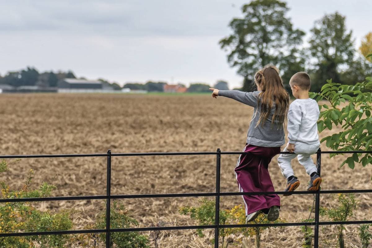 An education in moving for schools: 2025 update